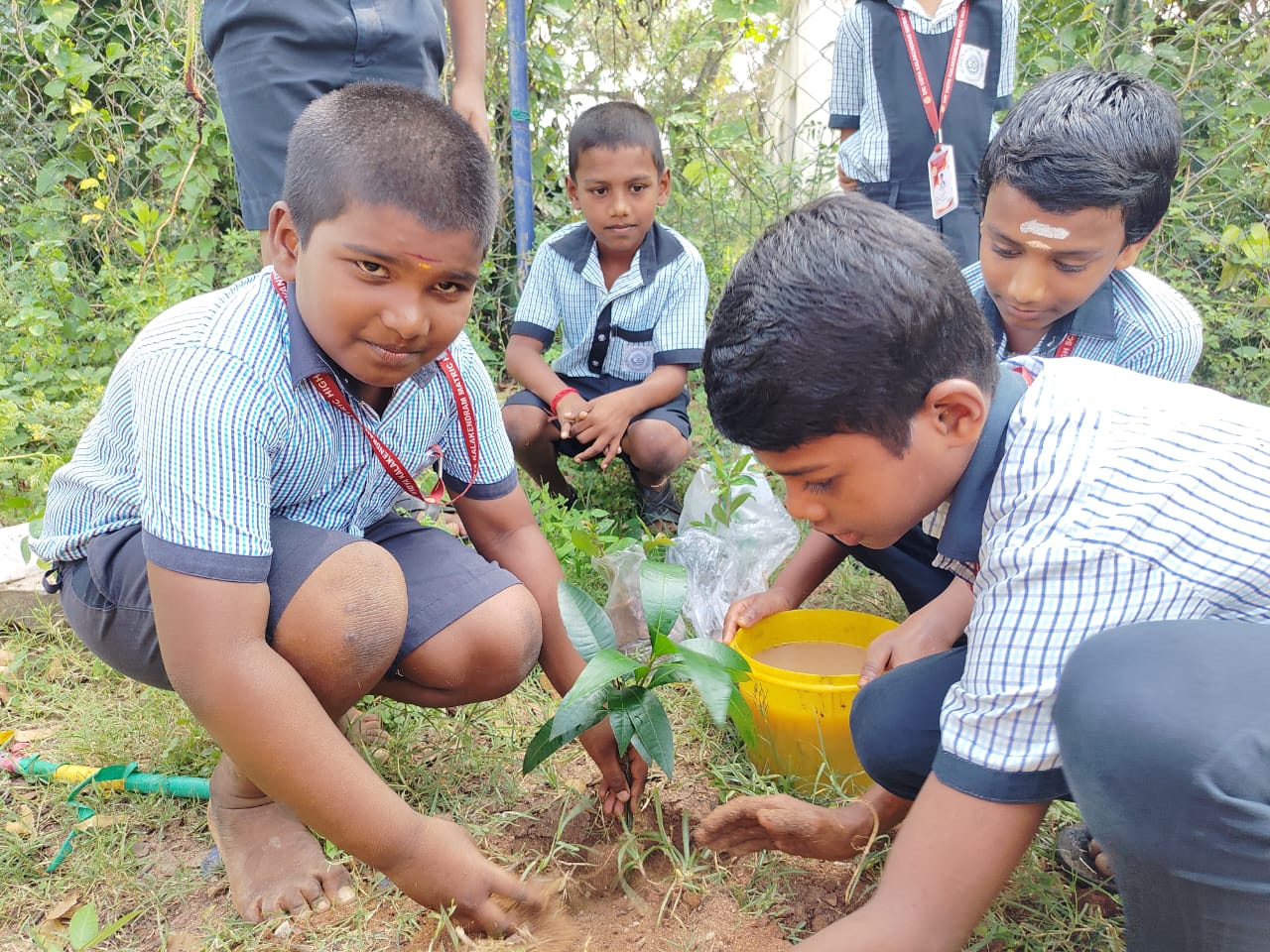 Students planting a tree together
